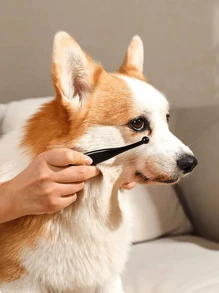 1 件装宠物眼部清洁刷，狗狗泪痕去除剂，小狗眼部分泌物刷，宠物清洁用品