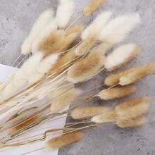 50 Pcs 17.7 Inches Lagurus Bunny Tails Pampas Grass Decor White Pink Artificial Rabbit Tails Dried Flowers Bouquet For Home Decor Boho Decor Table Decoration Room Bedroom Decor,Fall Decor,Autumn