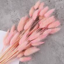 50 Pcs 17.7 Inches Lagurus Bunny Tails Pampas Grass Decor White Pink Artificial Rabbit Tails Dried Flowers Bouquet For Home Decor Boho Decor Table Decoration Room Bedroom Decor,Fall Decor,Autumn