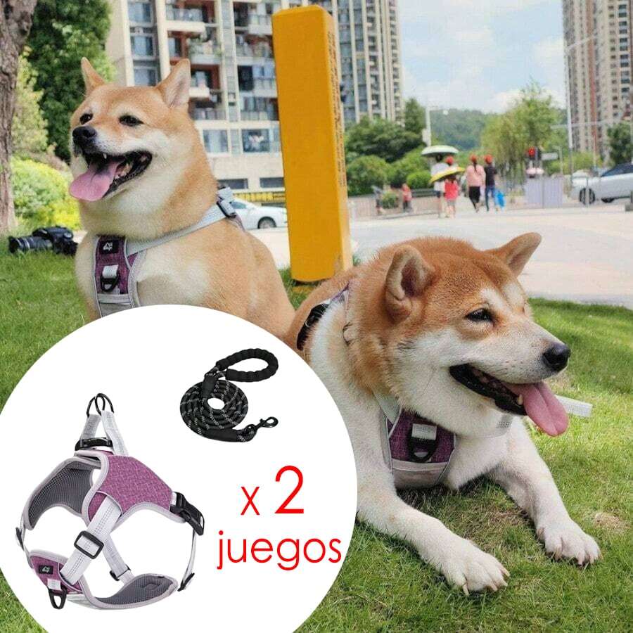2 Juegos Arnes pechera con aro de seguridad y resistencia para perro Chaleco Transpirable Suave Reflectante Para Mascotas - Rosa - Ver 1