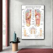 Acupoint Diagram Anatomy Foot Reflex Poster Printing Home Bedroom Living Room Frameless Decoration Printing Poster - Multicolor - View 2