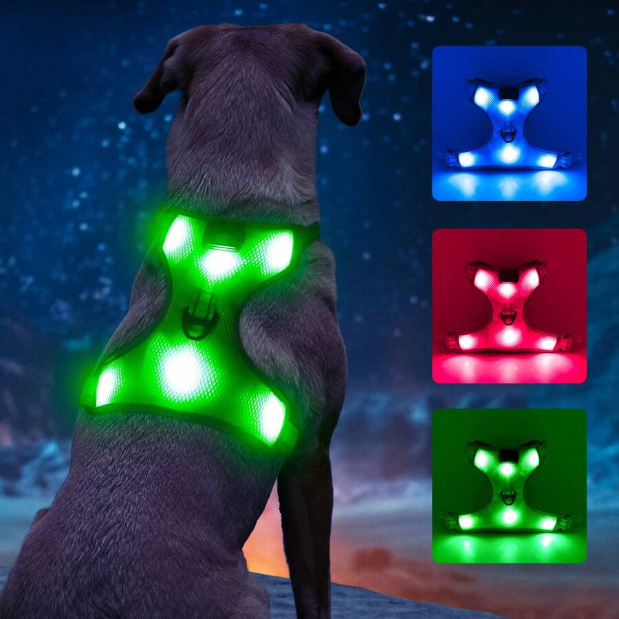 Light Up Dog Harness - Reflective LED Dog Vest Harness Safety Dog Lights For Night Walking - Green - View 1