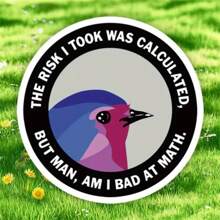 1 件，有趣的 3 英寸 PVC 防水户外贴纸 - 防紫外线“计算风险”贴花，适用于笔记本电脑、水瓶、书籍、笔记本、手机、汽车、保险杠、帐篷、卡车、皮卡、窗户、头盔、墙壁、手提箱、厕所、玻璃镜、办公室装饰 - 彩色 - 查看 1