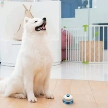 1 个黑色、红色和蓝色手持铃铛，适用于问答游戏、答题蜂鸣器、学校用品、返校