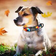 Customized Asymmetrical Polygon Print Nylon Personalized Pet Collar, Adjustable & Anti-Lost - Orange - View 7