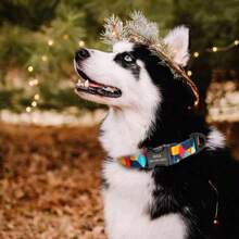 Customized Asymmetrical Polygon Print Nylon Personalized Pet Collar, Adjustable & Anti-Lost - Orange - View 9