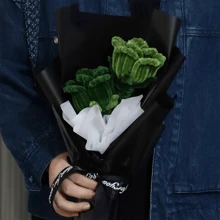 200pcs Mixed Color Pipe Cleaners, Pipe Cleaners Army Green, Mixed Pipe Cleaners Kit, Chenille Stems Crafting Pipe Cleaners, Craft Pipe Cleaners, Multi-Color Craft Pipe Cleaners Bulk For DIY Art And Craft Projects, Craft Supplies, Chenille Stems,DIY Art Creative Crafts, 12inch X 6mm