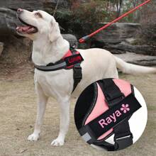 2pcs/Lot Multi-Color Lettering Pet Chest Harness Leather Tags, Customized Name And Information, Dog Harness Accessories, Outdoor Use, Various Font Colors, Patterns: Paw Print, Crown, Heart, Bone, Pentagram, Flower, Icon