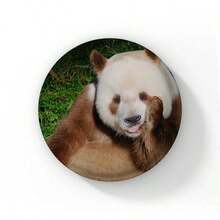 58mm Hoạt hình Dễ thương Đầy màu sắc Panda Nút Ghim Tôi yêu Panda Trái tim Trâm Cài Áo Huy hiệu Ba lô Phụ kiện Phần thưởng cho trẻ em Quà tặng bạn bè - 58mm - Xem 33