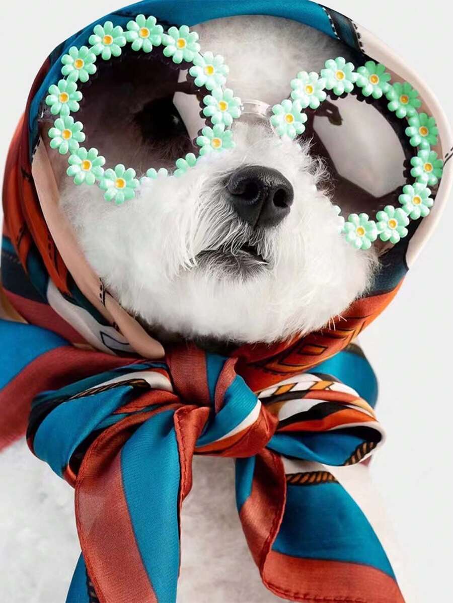 Pet Sunglasses With Daisy Flower Design, Fashion Sunglasses For Spring