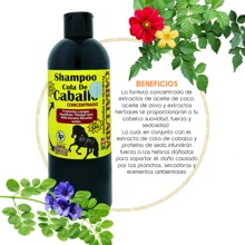 SHAMPOO CABALLADA - Negro - Ver 2