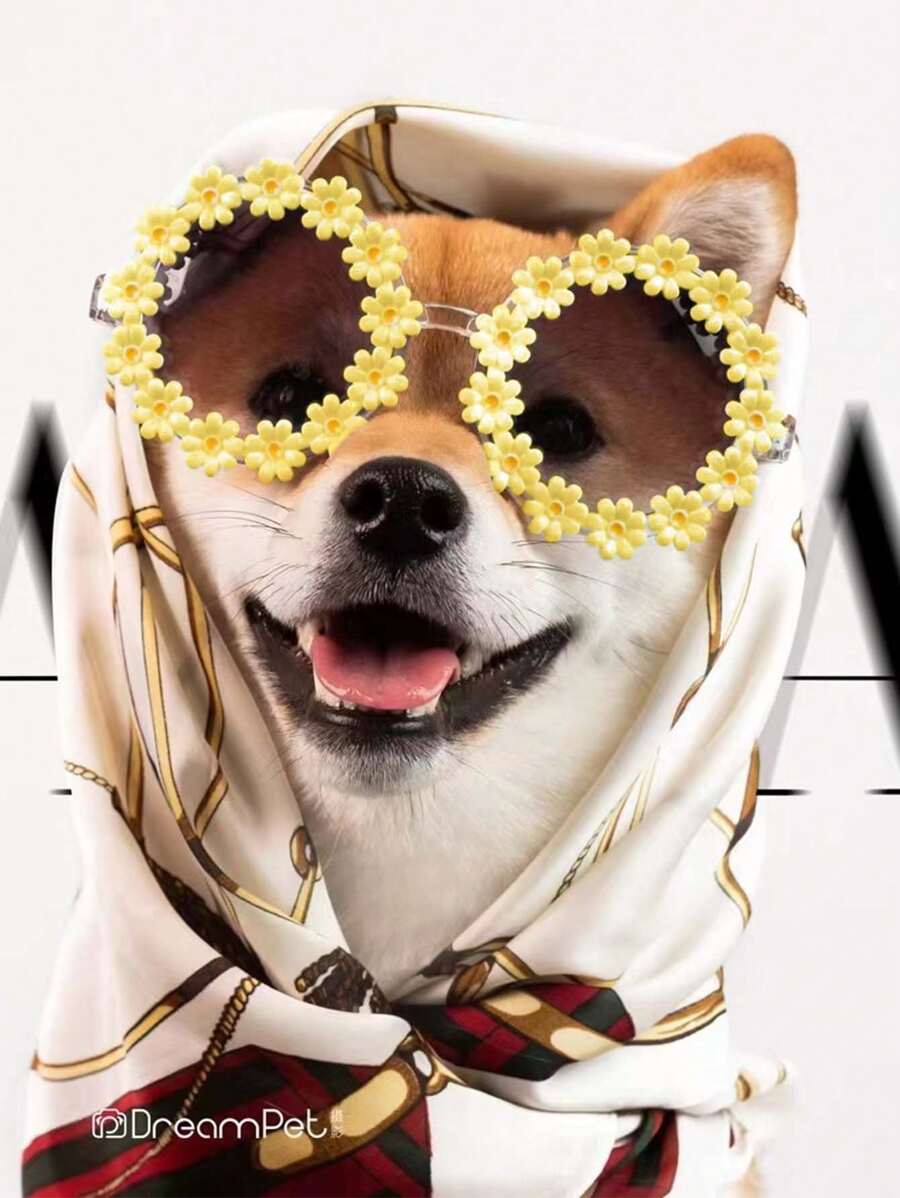 Pet Sunglasses With Daisy Flower Design, Fashion Sunglasses For Spring