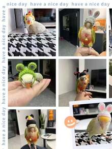 1 件装宠物编织帽 鹦鹉仓鼠帽 鸟戴兜帽 宠物迷你帽子 - 彩色 - 查看 3