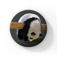 58mm Hoạt hình Dễ thương Đầy màu sắc Panda Nút Ghim Tôi yêu Panda Trái tim Trâm Cài Áo Huy hiệu Ba lô Phụ kiện Phần thưởng cho trẻ em Quà tặng bạn bè - 58mm - Xem 21