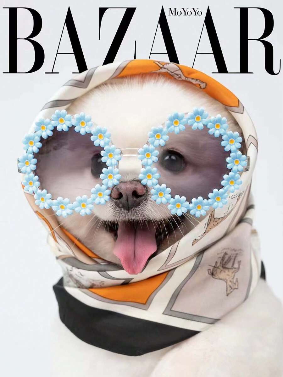 Pet Sunglasses With Daisy Flower Design, Fashion Sunglasses For Spring