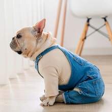 1 件时尚狗狗牛仔连体衣，带吊带，舒适有弹性，适合斗牛犬、比熊犬、吉娃娃 - 藍色 - 查看 6