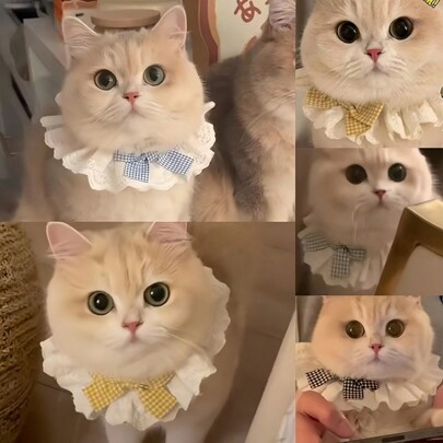 1pc Cat Lace Scarf Collar Drool Towel Pet Cat Bow Collar Adjustable Collar Suitable For Dogs And Cats Cute And Comfortable Pet Collars Pet Decorations Pet Accessories Princess Style Checkered Bow Scarf Dressing Cat Supplies