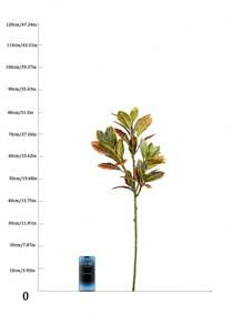 Artificial Color-changing Tree Branch With Ficus Microcarpa & Rubber Tree Leaves, Plastic Plants For Indoor/outdoor Garden, Home, Office Decoration, No Pot Included - Green - View 13