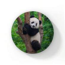 58mm Hoạt hình Dễ thương Đầy màu sắc Panda Nút Ghim Tôi yêu Panda Trái tim Trâm Cài Áo Huy hiệu Ba lô Phụ kiện Phần thưởng cho trẻ em Quà tặng bạn bè - 58mm - Xem 34