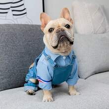 1 件时尚狗狗牛仔连体衣，带吊带，舒适有弹性，适合斗牛犬、比熊犬、吉娃娃 - 藍色 - 查看 4