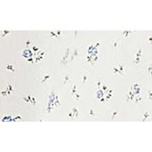 Levi's Quần Jeans Baggy Cargo 94 - Isabel Baggy chở hàng - Xem 4