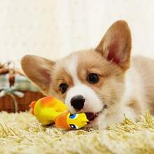 Colección de juguetes para masticar perros con sonido, accesorios de cuidado dental para limpieza y pulido de dientes, sin batería requerida