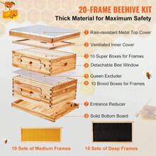 Artesian Beehive, Fir Boiled Wax Beehive, Automatic Honey Flow Device, A Full Set Of New Beekeeping Special Tools - Hộp sâu x 1+ Hộp trung bình x 1 - Xem 6