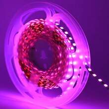一卷1-5米/(3.28-16.4英寸)5V 2835白、暖、蓝、紫、绿LED灯带，由电池盒供电，高亮度LED灯珠，耐用，低压LED灯带，适用于圣诞节装饰、万圣节装饰、派对装饰、厨房、卧室、走廊、楼梯、客厅、酒吧、工作台（不含电池） - 電池盒單色燈帶 - 查看 32