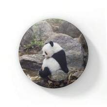 58mm Hoạt hình Dễ thương Đầy màu sắc Panda Nút Ghim Tôi yêu Panda Trái tim Trâm Cài Áo Huy hiệu Ba lô Phụ kiện Phần thưởng cho trẻ em Quà tặng bạn bè - 58mm - Xem 45