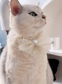 1pc Cute Pearl Necklace For Pets, Bowknot Princess Collar For Dogs/Cats - White - View 4