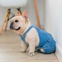 1 件时尚狗狗牛仔连体衣，带吊带，舒适有弹性，适合斗牛犬、比熊犬、吉娃娃 - 藍色 - 查看 5