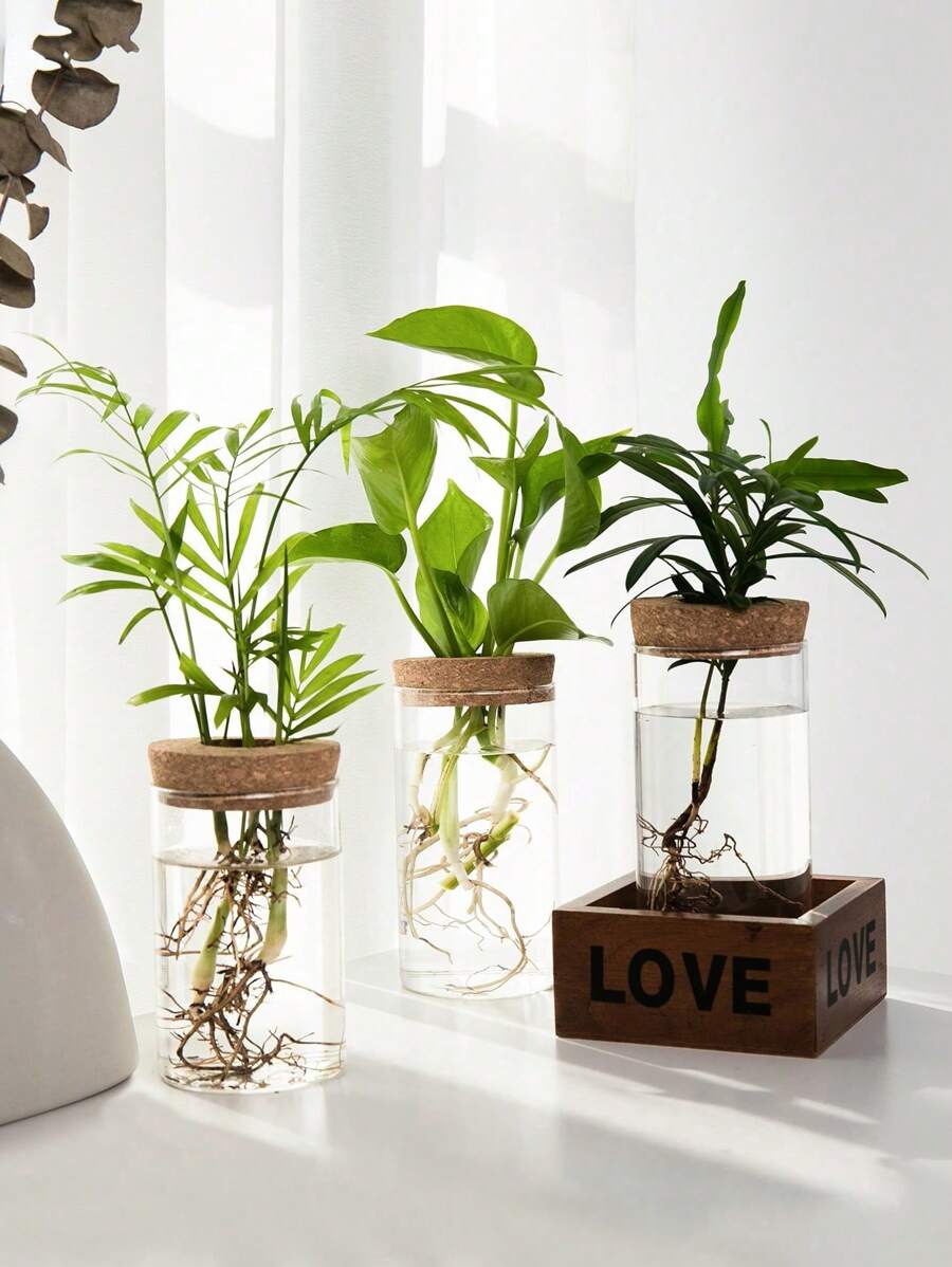 1 pieza, Vaso de vidrio para plantas de hidroponía de escritorio para decoración del hogar, Estación de propagación de plantas, Jarrones de plantas de hidroponía de escritorio para decoración de mesa de sala de estar, cocina, oficina, regalos de cumpleaños, graduación, decoración de habitación, jarrones de flores