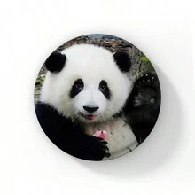 58mm Hoạt hình Dễ thương Đầy màu sắc Panda Nút Ghim Tôi yêu Panda Trái tim Trâm Cài Áo Huy hiệu Ba lô Phụ kiện Phần thưởng cho trẻ em Quà tặng bạn bè - 58mm - Xem 26
