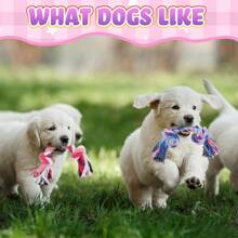 2 piezas/5 piezas Juguetes para mascar de cuerda trenzada de color aleatorio para perros pequeños y medianos, duraderos y de limpieza dental