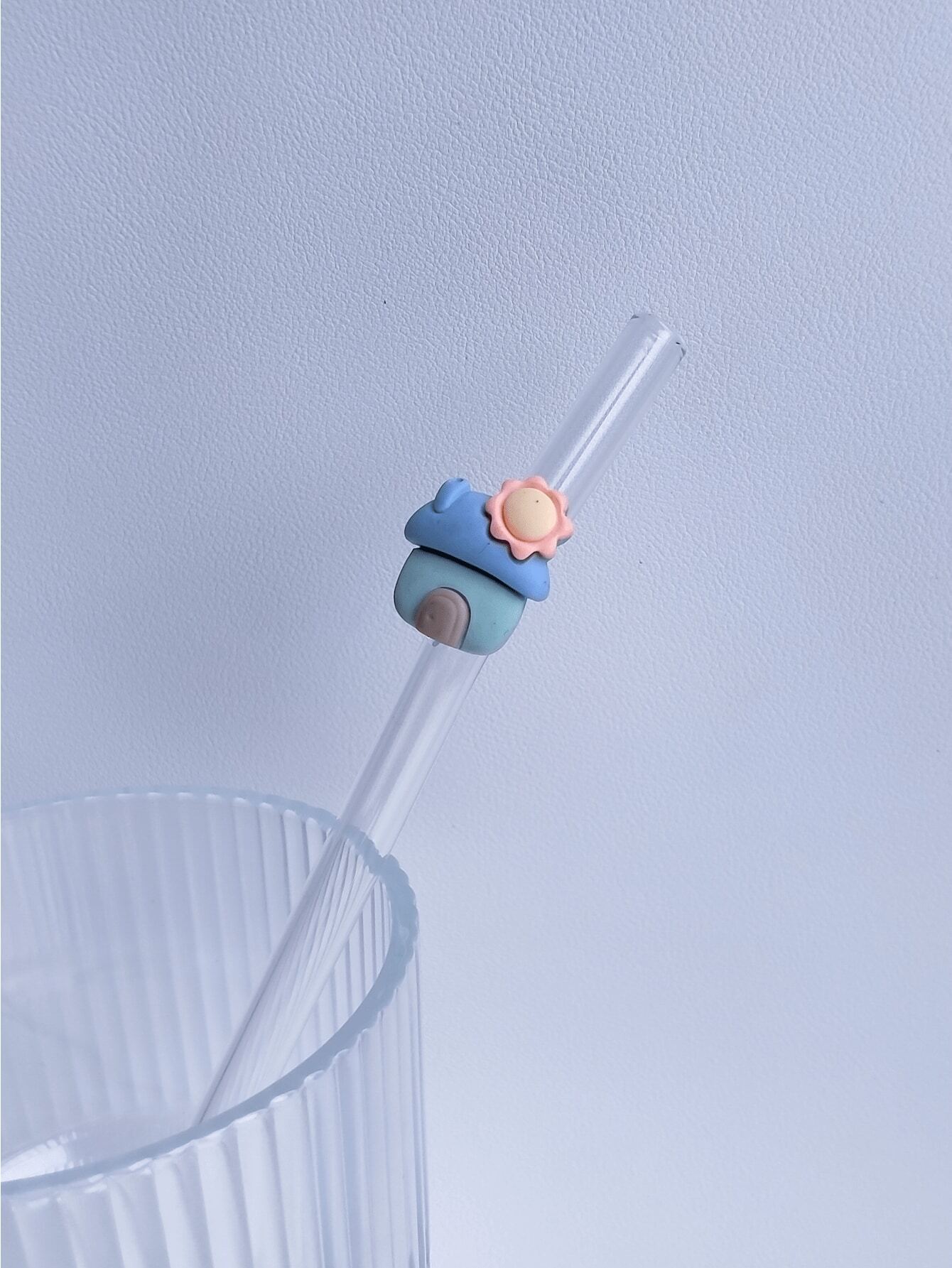 Lot De 6 Pailles En Verre Borosilicaté - France