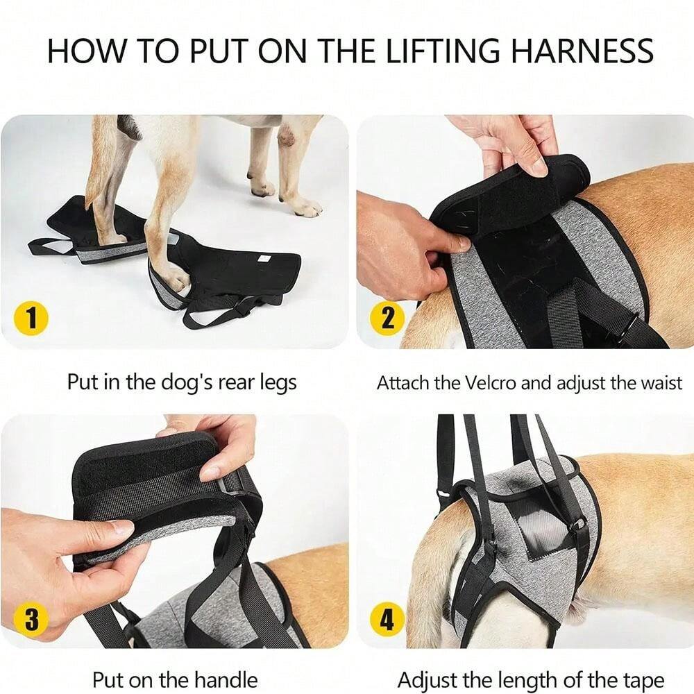 Imbracatura Sollevamento Cani Grandi - Supporto Zampe Posteriori Per Cani Anziani E Disabili - Foto 11