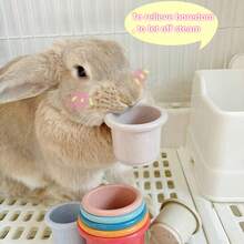 8 cái Đồ chơi xếp chồng cốc ăn nhẹ cho thỏ Hamster Màu sắc hỗn hợp Cốc lồng bằng nhựa Bộ đồ chơi nước nhận thức, Đồ chơi cốc ăn nhẹ cho thỏ Hamster, Đồ chơi giáo dục cho chim, Đồ chơi xếp hình cho thỏ ăn nhẹ Cốc đồ chơi cho thỏ, Đồ chơi thỏ cho thỏ trong nhà, Bát đựng thức ăn cho thỏ, Bát đựng thức ăn cho thỏ, Dụng cụ cho thỏ ăn trong lồng, Dụng cụ cho thỏ ăn, Cốc xếp chồng cho thỏ, Bát đựng nước cho thỏ, Bát đựng thức ăn cho thỏ, Dụng cụ cho thỏ ăn, Bộ bát đựng nước và thức ăn cho thỏ (Màu sắc ngẫu nhiên giữa các cốc) - Nhiều màu - Xem 5