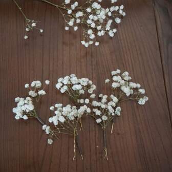 Gypsophila Hair Pins, Delicate Pins, Wedding Hair Pins, Bridal Hair Accessory, Dried Flower Hair Pins, Prom Flowers,Christmas