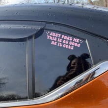 Just Pass Me 有趣的汽车贴花、可爱的汽车贴纸、可爱的汽车贴花、汽车贴花、汽车贴纸、可爱的保险杠贴纸、卡哇伊少女汽车 - 均碼 - 查看 4