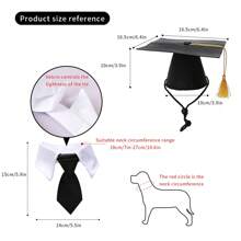 1 Set Pet Graduation Cap & Tie Tassels Bachelor Doctoral Headwear, Party Supplies For Cats & Dogs - Black - View 3