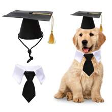 1 Set Pet Graduation Cap & Tie Tassels Bachelor Doctoral Headwear, Party Supplies For Cats & Dogs - Black - View 1
