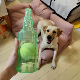 Dog Toys, Tough Toys, Toys That Relieve Boredom, Toys With Squeaking Sounds, Tennis And Bottle Shaped Toys, Dog Puzzle Toys