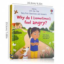 Usborne Lift -The-Flap Very First Questions & Answers Why Do I (Sometimes) Feel Angry? Science Popularization Cognitive Book Educational 3D Cardboard Bedtime Reading English Books For Children