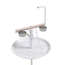 Bird Ladders - White - View 7