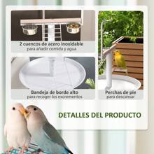 Bird Ladders - White - View 4