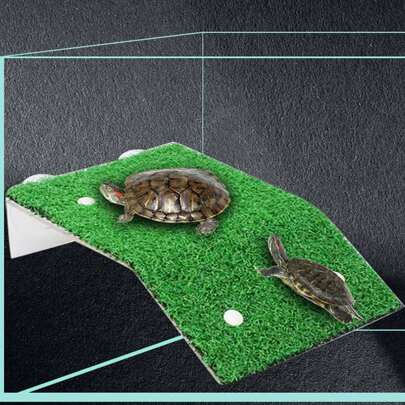 Plataforma de descanso para tartarugas, plataforma de rampa para tartarugas, plataforma de descanso para animais anfíbios com ventosa