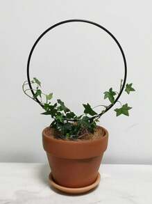 1set Flower Stand Stake - Black - View 7