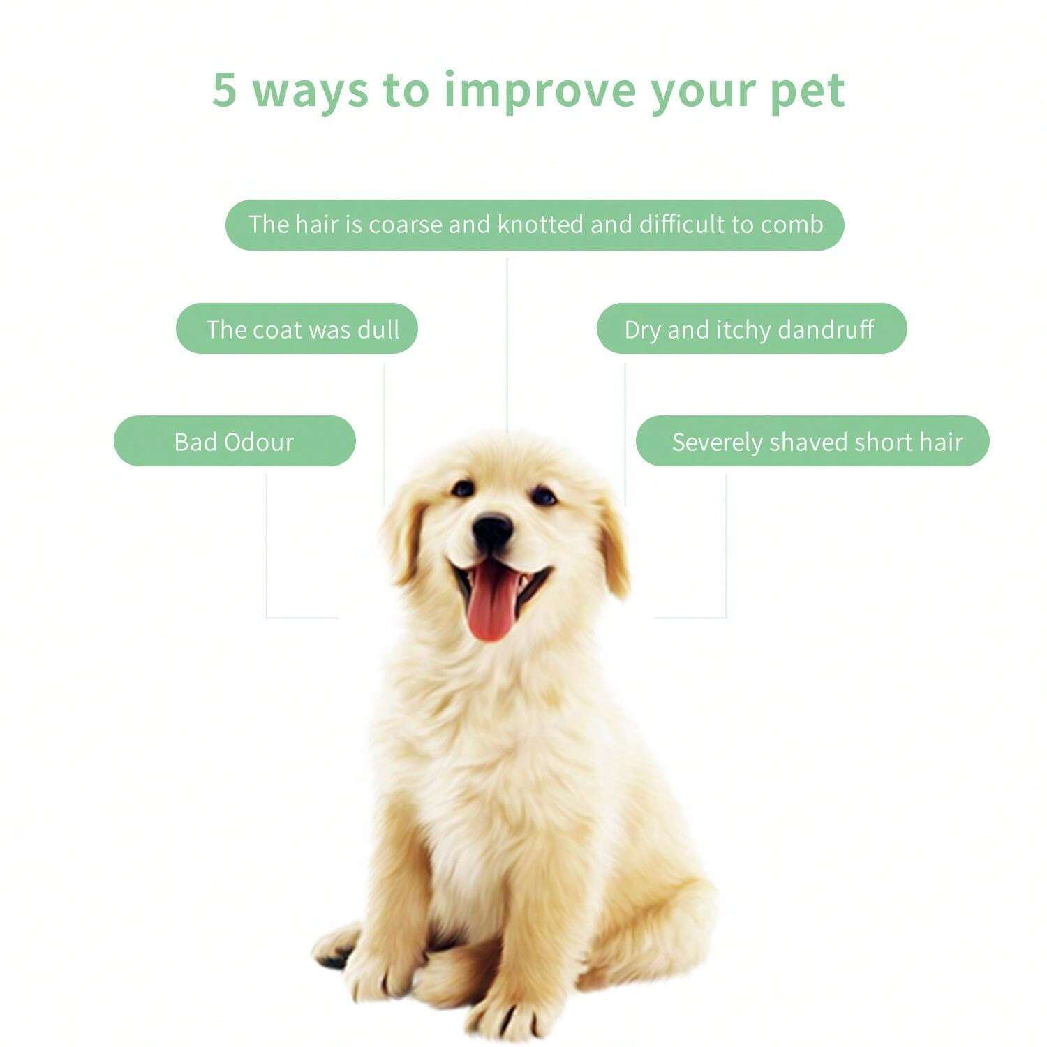 228 ml Shampooing et gel douche pour chien et chat de compagnie