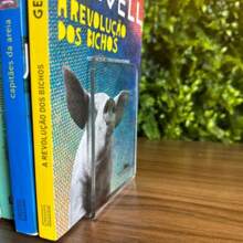 Pair Of Crystal Or Glossy Black Book Shelf Support Sideboard For Bookshelf Organizer Books And Others - 6 BỘ DỤNG CỤ - Xem 6