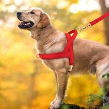 Custom PU Laser Engraved Dog Chest Harness, Personalized Pet ID Chest Strap Anti-Lost
